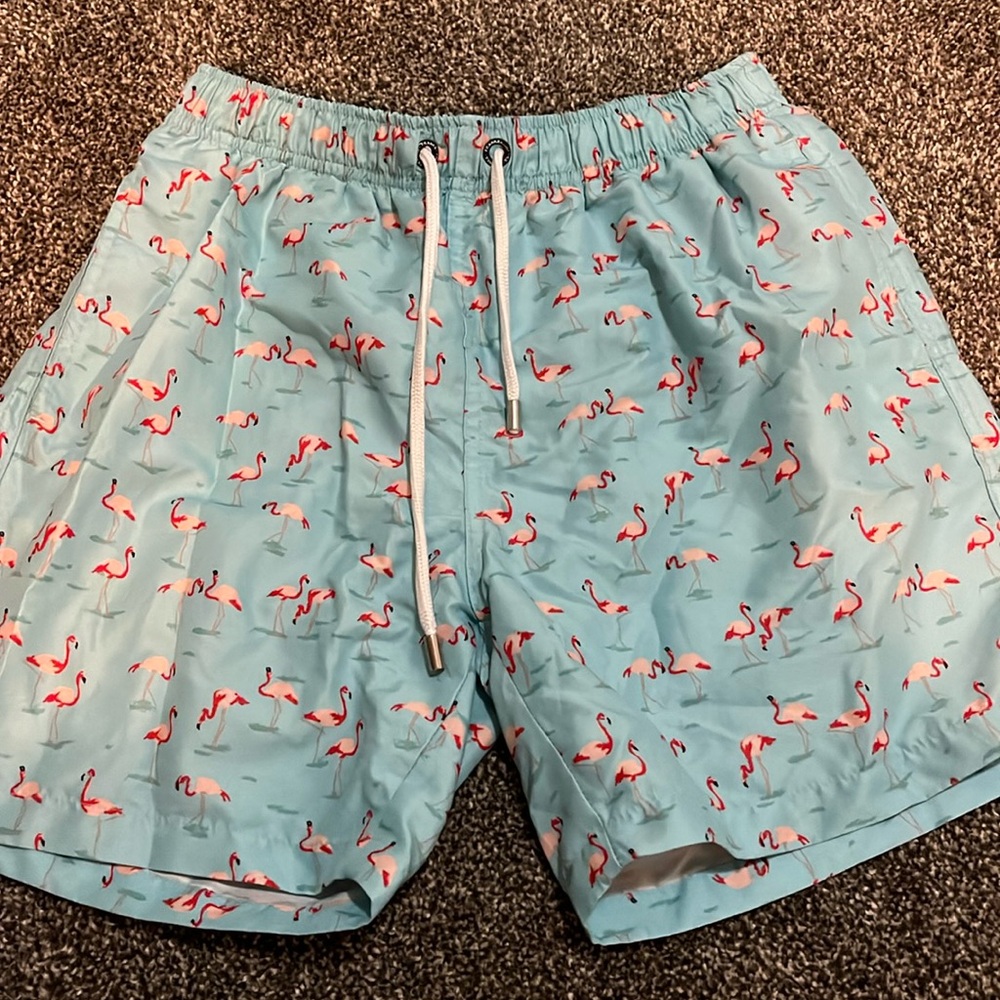 Franks Australia flamingo swim trunks